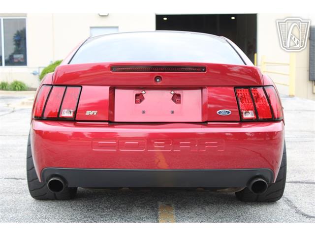 2003 Ford Mustang SVT Cobra (CC-2085365) for sale in Crete, Illinois