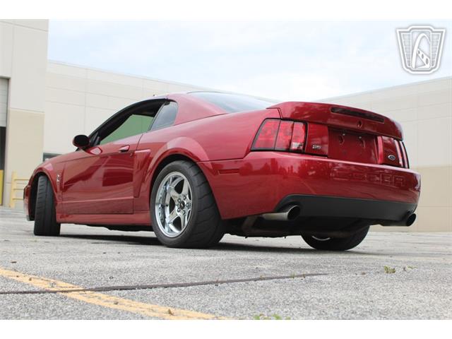 2003 Ford Mustang SVT Cobra (CC-2085365) for sale in Crete, Illinois