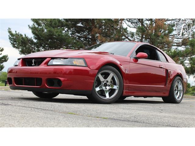 2003 Ford Mustang SVT Cobra (CC-2085365) for sale in Crete, Illinois