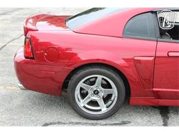 2003 Ford Mustang SVT Cobra (CC-2085365) for sale in Crete, Illinois