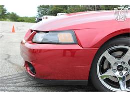2003 Ford Mustang SVT Cobra (CC-2085365) for sale in Crete, Illinois