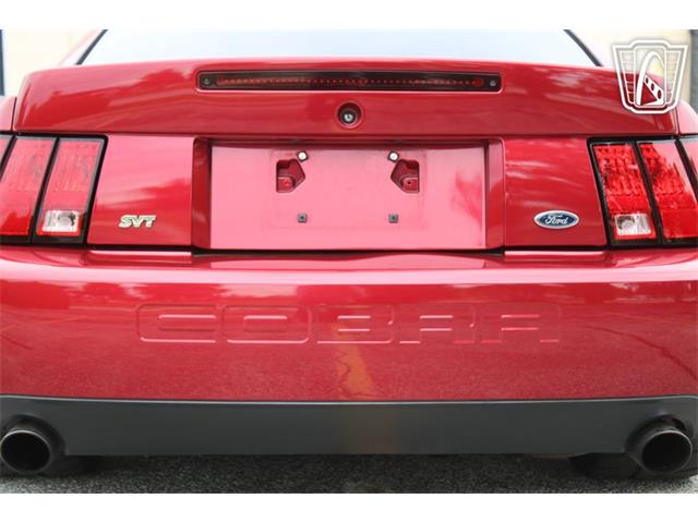 2003 Ford Mustang SVT Cobra (CC-2085365) for sale in Crete, Illinois