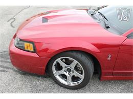 2003 Ford Mustang SVT Cobra (CC-2085365) for sale in Crete, Illinois