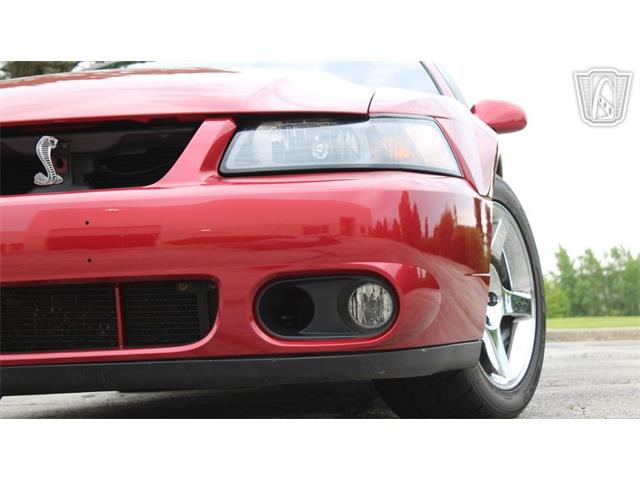2003 Ford Mustang SVT Cobra (CC-2085365) for sale in Crete, Illinois