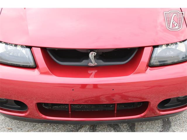 2003 Ford Mustang SVT Cobra (CC-2085365) for sale in Crete, Illinois