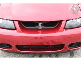 2003 Ford Mustang SVT Cobra (CC-2085365) for sale in Crete, Illinois