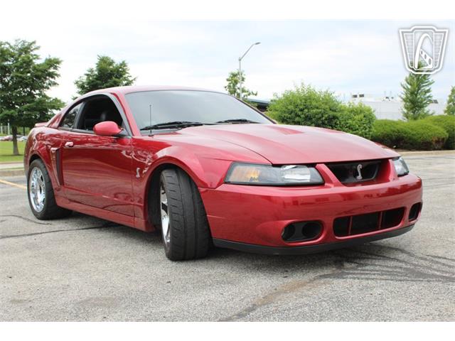 2003 Ford Mustang SVT Cobra (CC-2085365) for sale in Crete, Illinois