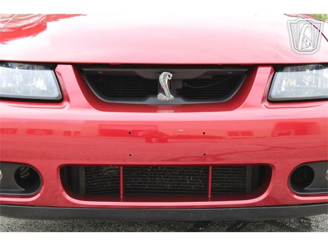2003 Ford Mustang SVT Cobra (CC-2085365) for sale in Crete, Illinois