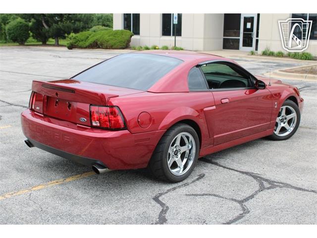 2003 Ford Mustang SVT Cobra (CC-2085365) for sale in Crete, Illinois