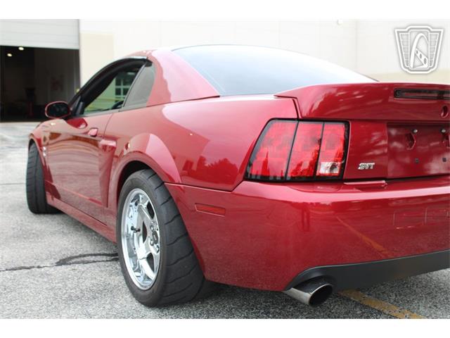 2003 Ford Mustang SVT Cobra (CC-2085365) for sale in Crete, Illinois