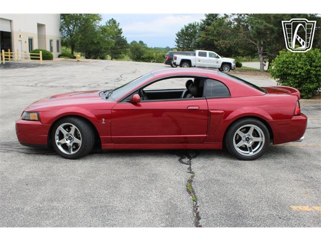 2003 Ford Mustang SVT Cobra (CC-2085365) for sale in Crete, Illinois