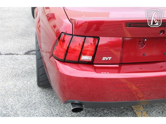 2003 Ford Mustang SVT Cobra (CC-2085365) for sale in Crete, Illinois
