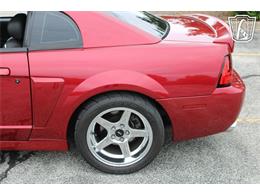 2003 Ford Mustang SVT Cobra (CC-2085365) for sale in Crete, Illinois