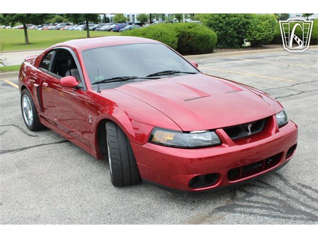 2003 Ford Mustang SVT Cobra (CC-2085365) for sale in Crete, Illinois