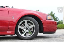 2003 Ford Mustang SVT Cobra (CC-2085365) for sale in Crete, Illinois