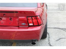2003 Ford Mustang SVT Cobra (CC-2085365) for sale in Crete, Illinois