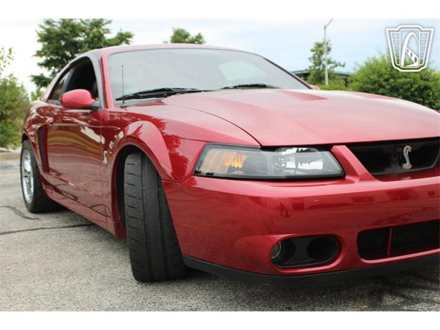 2003 Ford Mustang SVT Cobra (CC-2085365) for sale in Crete, Illinois