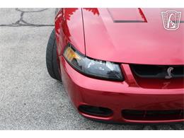 2003 Ford Mustang SVT Cobra (CC-2085365) for sale in Crete, Illinois