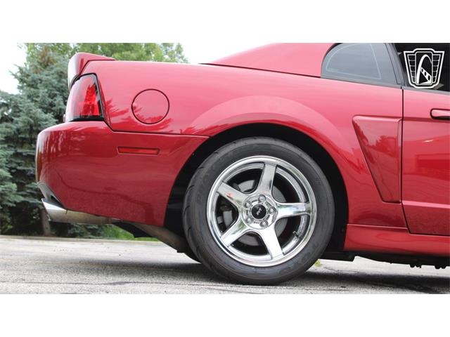 2003 Ford Mustang SVT Cobra (CC-2085365) for sale in Crete, Illinois