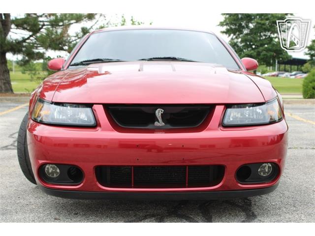 2003 Ford Mustang SVT Cobra (CC-2085365) for sale in Crete, Illinois