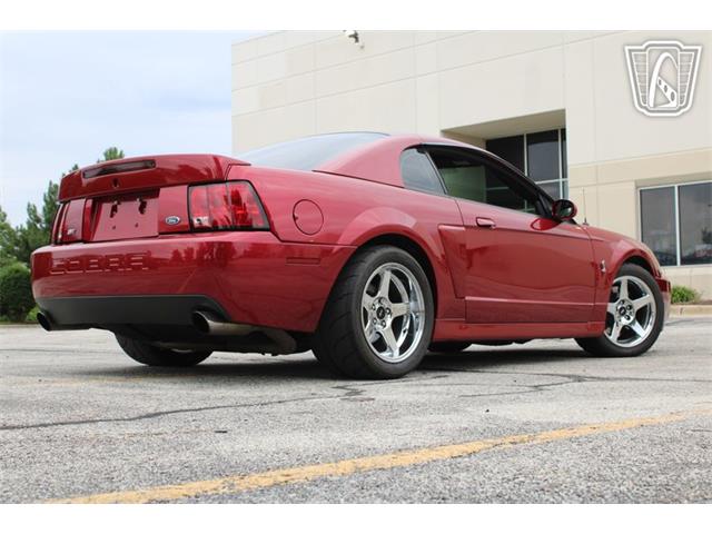 2003 Ford Mustang SVT Cobra (CC-2085365) for sale in Crete, Illinois