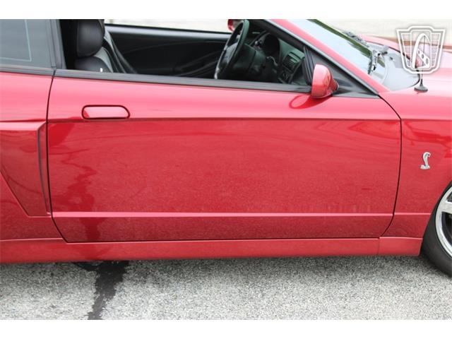 2003 Ford Mustang SVT Cobra (CC-2085365) for sale in Crete, Illinois