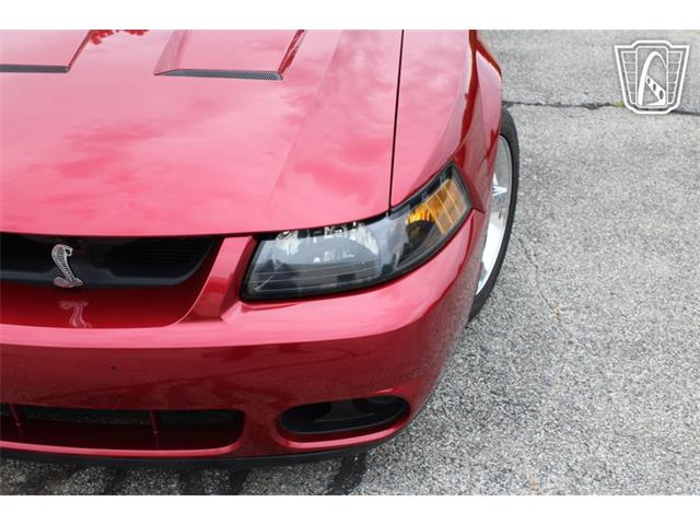 2003 Ford Mustang SVT Cobra (CC-2085365) for sale in Crete, Illinois
