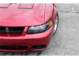 2003 Ford Mustang SVT Cobra (CC-2085365) for sale in Crete, Illinois