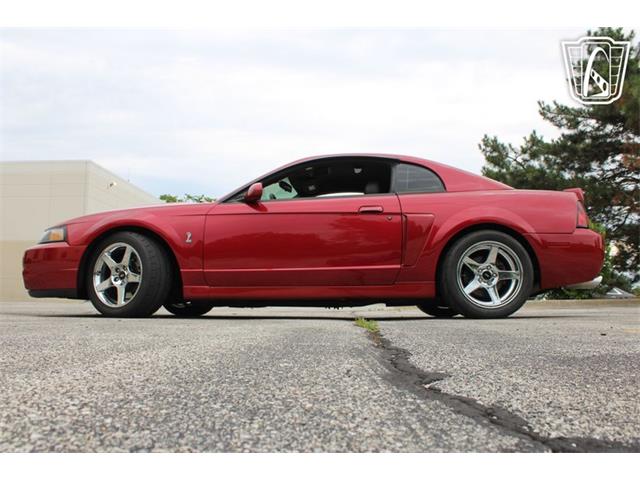 2003 Ford Mustang SVT Cobra (CC-2085365) for sale in Crete, Illinois