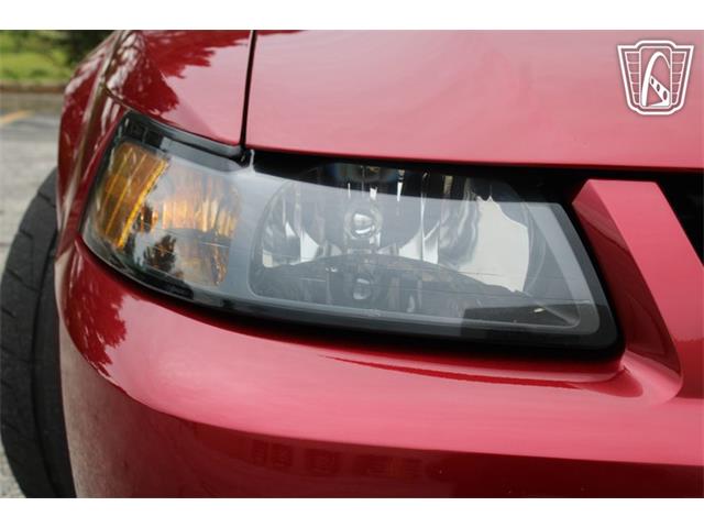 2003 Ford Mustang SVT Cobra (CC-2085365) for sale in Crete, Illinois