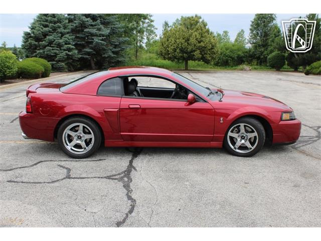2003 Ford Mustang SVT Cobra (CC-2085365) for sale in Crete, Illinois