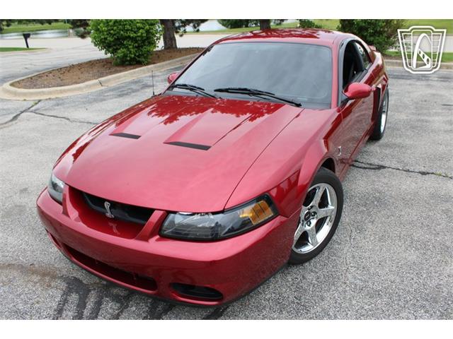 2003 Ford Mustang SVT Cobra (CC-2085365) for sale in Crete, Illinois