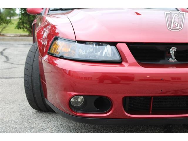 2003 Ford Mustang SVT Cobra (CC-2085365) for sale in Crete, Illinois