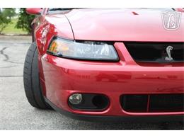 2003 Ford Mustang SVT Cobra (CC-2085365) for sale in Crete, Illinois