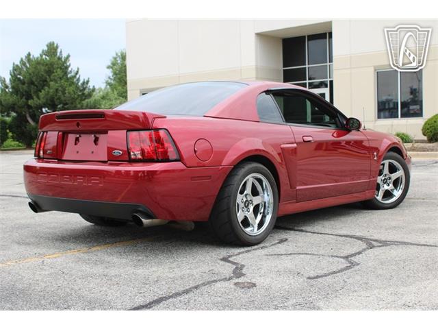 2003 Ford Mustang SVT Cobra (CC-2085365) for sale in Crete, Illinois