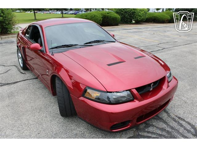 2003 Ford Mustang SVT Cobra (CC-2085365) for sale in Crete, Illinois