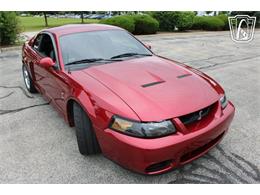2003 Ford Mustang SVT Cobra (CC-2085365) for sale in Crete, Illinois