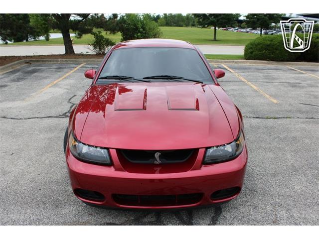 2003 Ford Mustang SVT Cobra (CC-2085365) for sale in Crete, Illinois