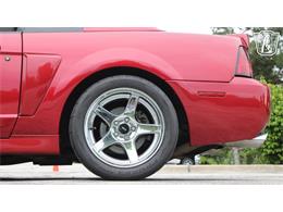 2003 Ford Mustang SVT Cobra (CC-2085365) for sale in Crete, Illinois