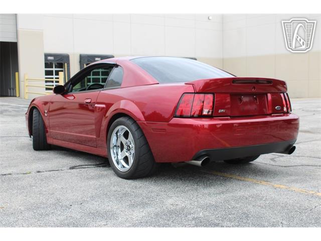 2003 Ford Mustang SVT Cobra (CC-2085365) for sale in Crete, Illinois