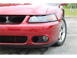 2003 Ford Mustang SVT Cobra (CC-2085365) for sale in Crete, Illinois