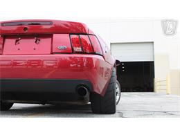 2003 Ford Mustang SVT Cobra (CC-2085365) for sale in Crete, Illinois