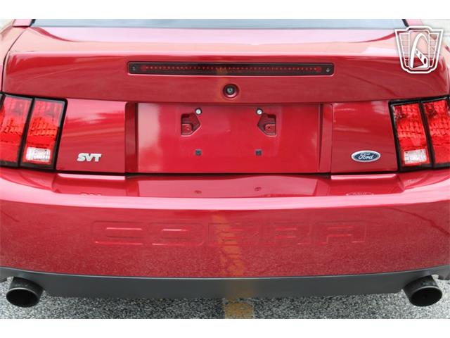 2003 Ford Mustang SVT Cobra (CC-2085365) for sale in Crete, Illinois