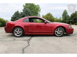 2003 Ford Mustang SVT Cobra (CC-2085365) for sale in Crete, Illinois