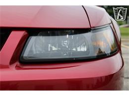 2003 Ford Mustang SVT Cobra (CC-2085365) for sale in Crete, Illinois