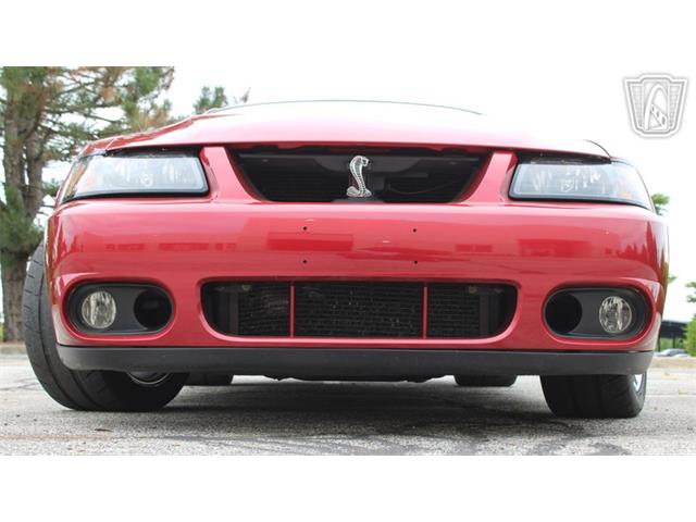 2003 Ford Mustang SVT Cobra (CC-2085365) for sale in Crete, Illinois