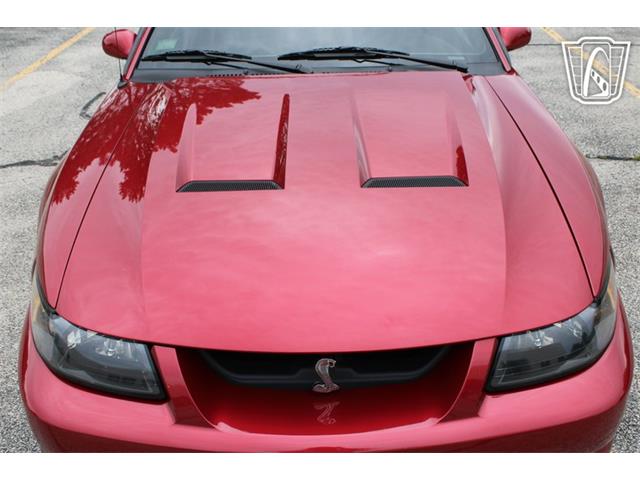 2003 Ford Mustang SVT Cobra (CC-2085365) for sale in Crete, Illinois