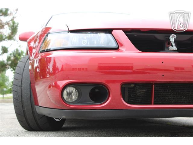 2003 Ford Mustang SVT Cobra (CC-2085365) for sale in Crete, Illinois