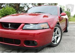 2003 Ford Mustang SVT Cobra (CC-2085365) for sale in Crete, Illinois