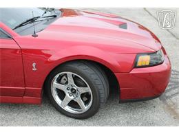 2003 Ford Mustang SVT Cobra (CC-2085365) for sale in Crete, Illinois